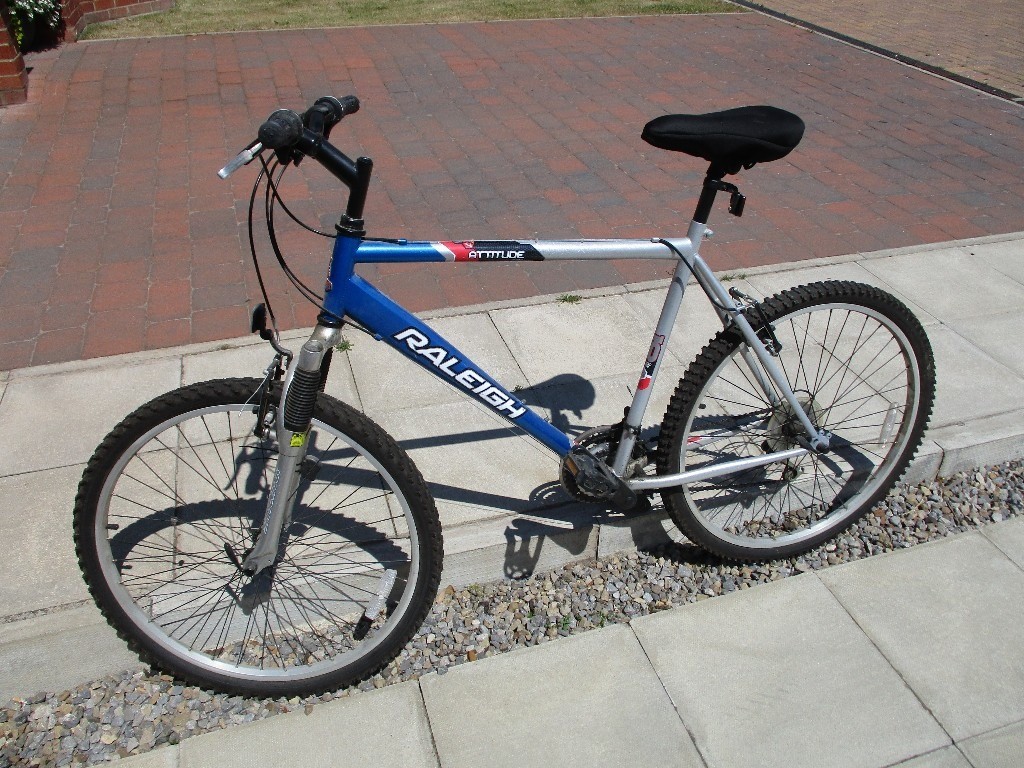 raleigh attitude mountain bike